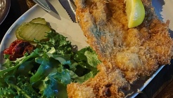 더보헤미아 매장 이미지