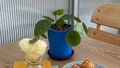 보흔바 매장 이미지