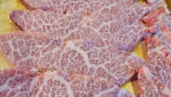 고베프리미엄 매장 이미지