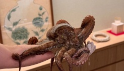 스시이야시 매장 이미지