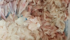 본동식당 매장 이미지