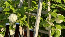 호피홀리데이 매장 이미지