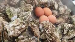 무녀도회노을하우스 매장 이미지