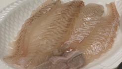 송이와국진이네횟집 매장 이미지