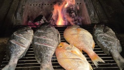 사피엔스 매장 이미지