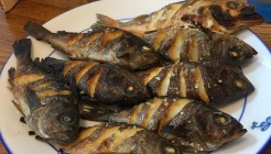 미락뽈락 매장 이미지