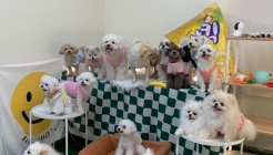 멍다방 매장 이미지