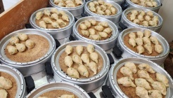 열매손만두분식 매장 이미지