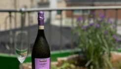 버틀러 매장 이미지