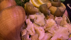 삼바리 매장 이미지