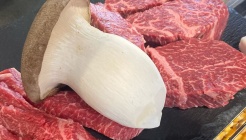 고공 매장 이미지