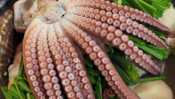 돌고개 매장 이미지