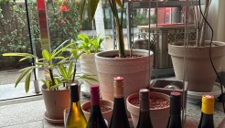 로디드 매장 이미지