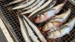 금성호 매장 이미지