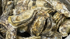 고흥회수산 매장 이미지