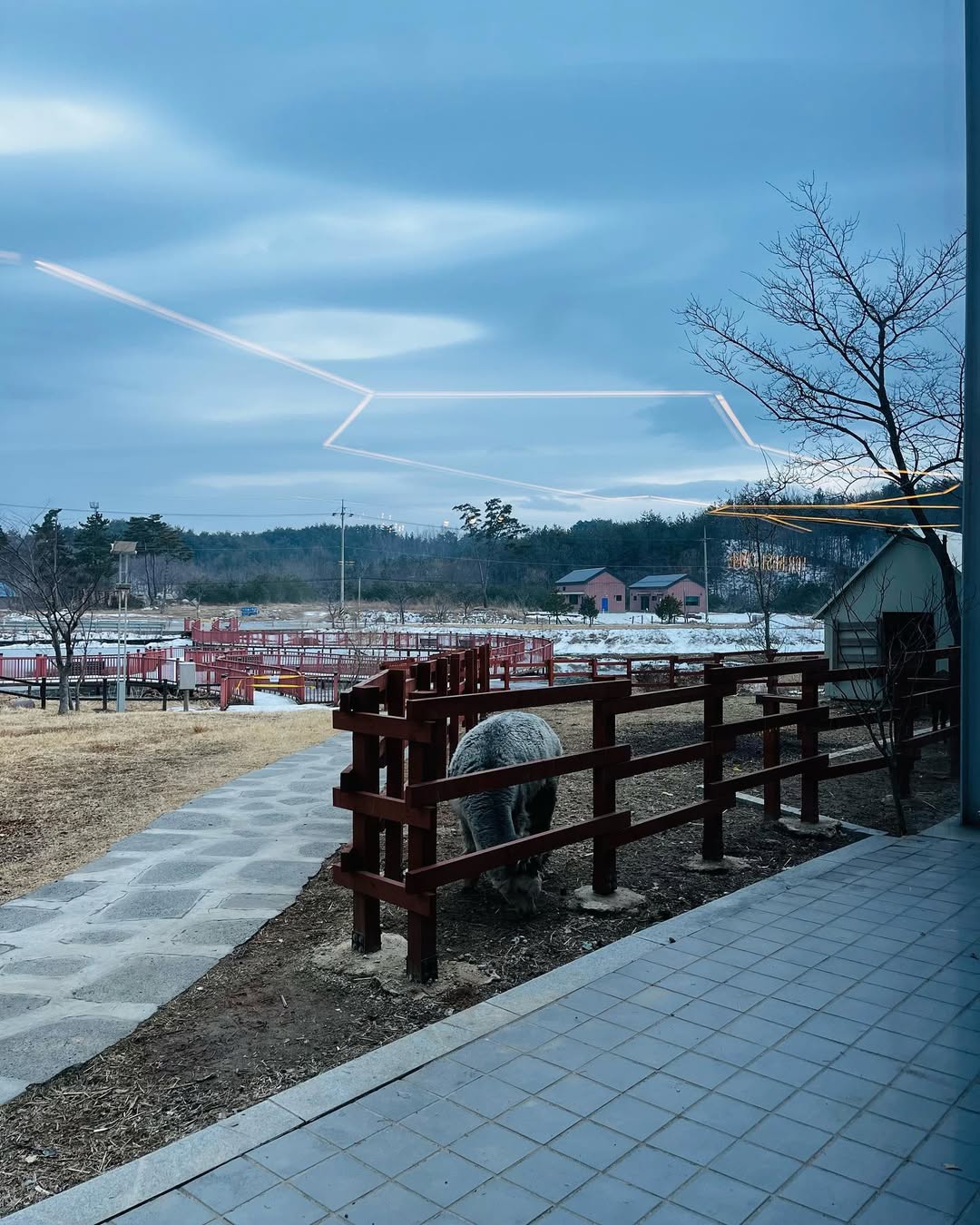 포레스트 카페 매장 이미지