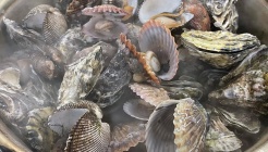 은하굴집 매장 이미지