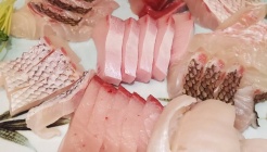 대풍회초밥 매장 이미지