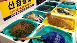 산청활어 매장 이미지