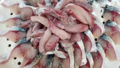 욕지고등어 충청도아줌마 매장 이미지