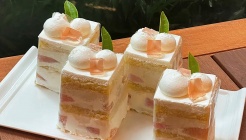 미스틱3도 매장 이미지