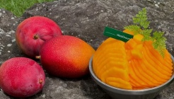 웨스트그라운드 매장 이미지