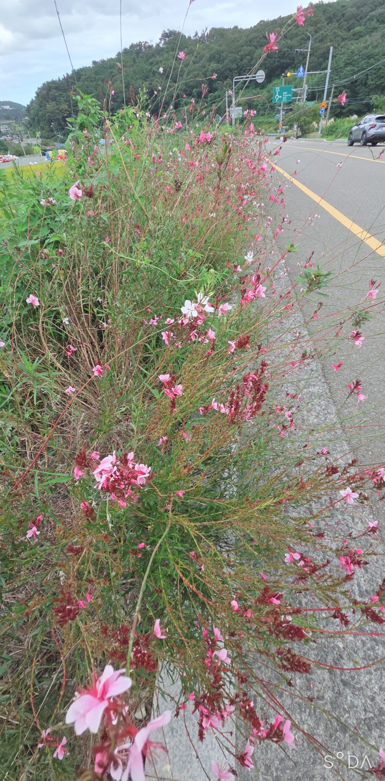 카페 바람 매장 이미지