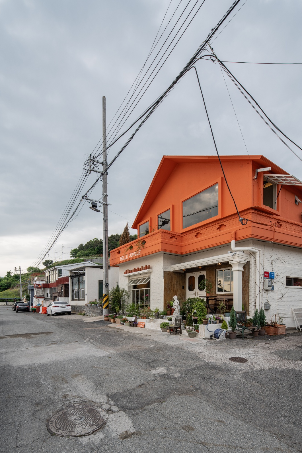 헬로정글 매장 이미지