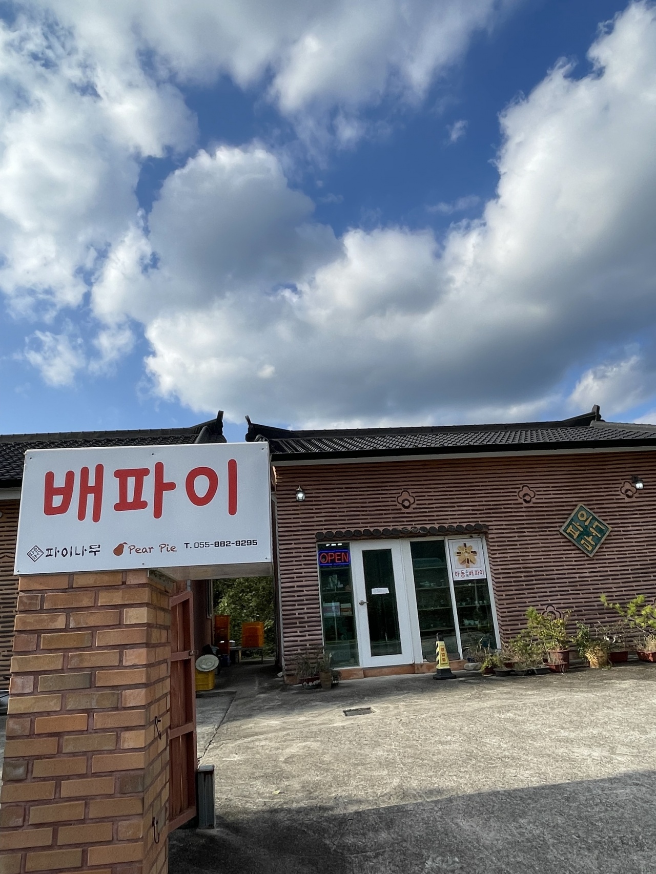 파이나무 매장 이미지