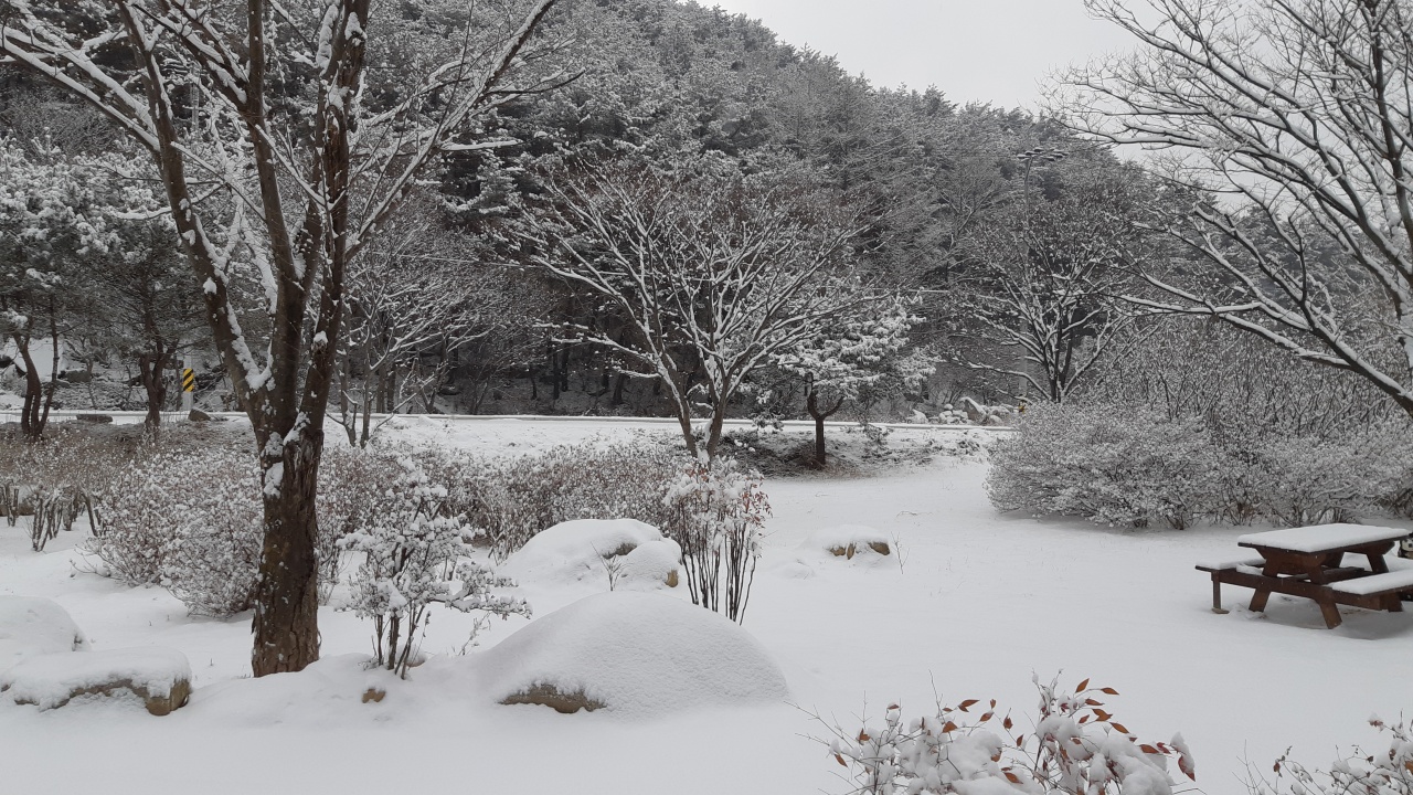 천궁산장식당 매장 이미지