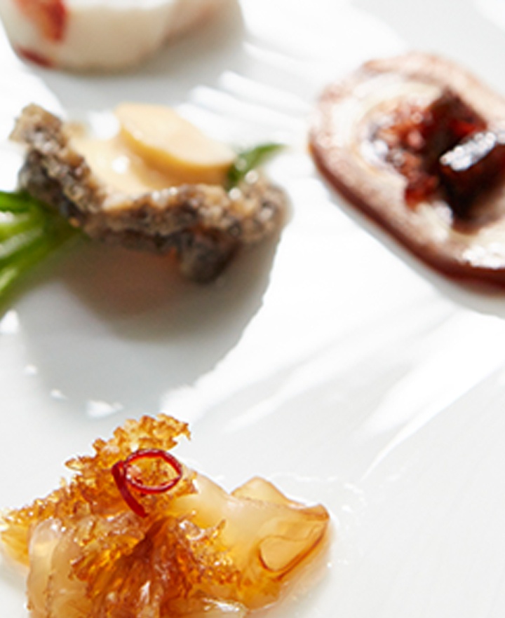 출처 : 홈페이지 및 직접 취재 혼용