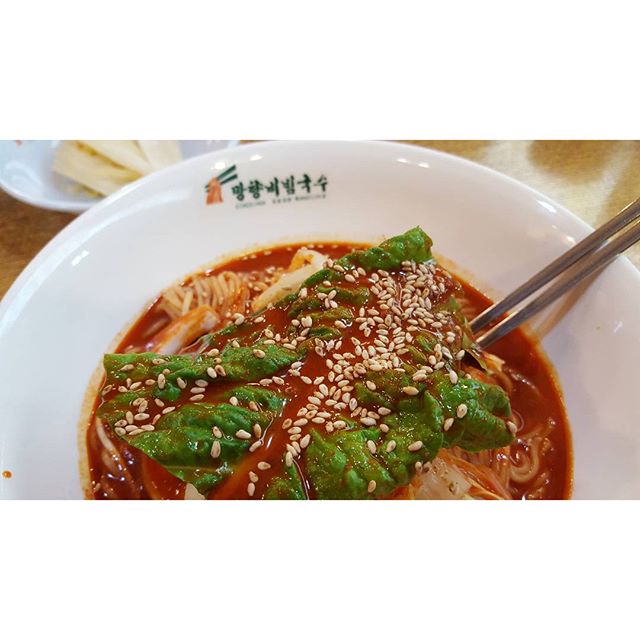 출처 : 인스타그램