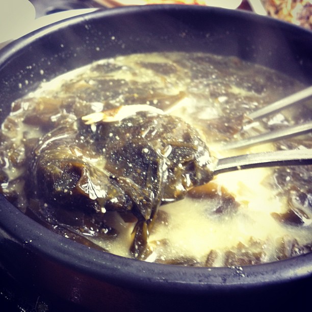 출처 : 인스타그램