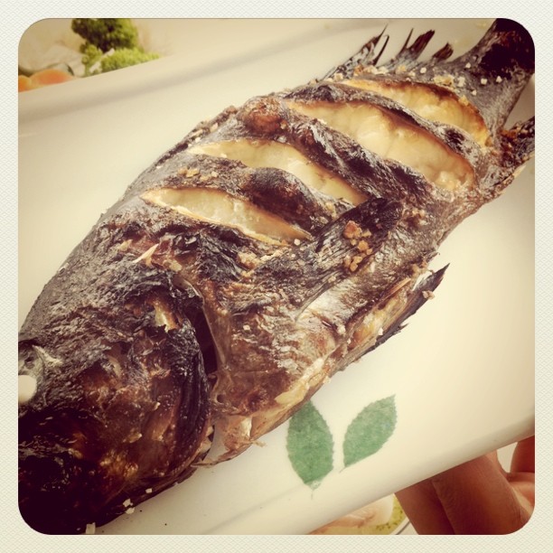 출처 : 인스타그램