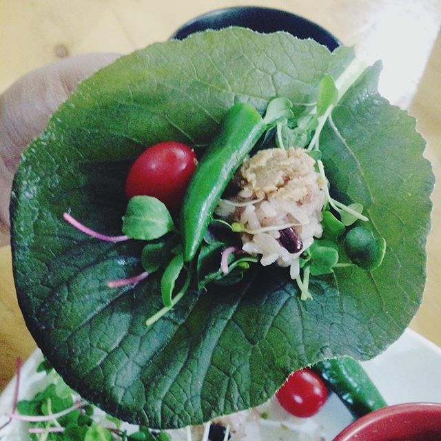 서브2