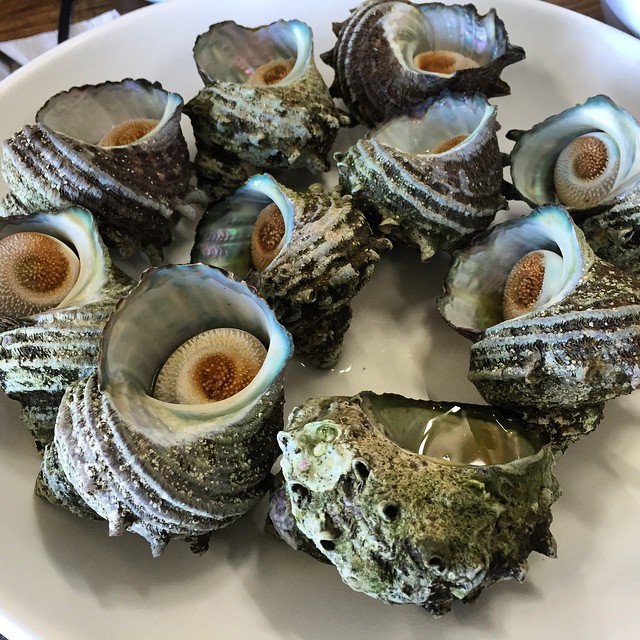 출처 : 인스타그램