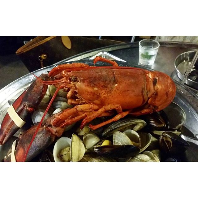 출처 : 인스타그램
