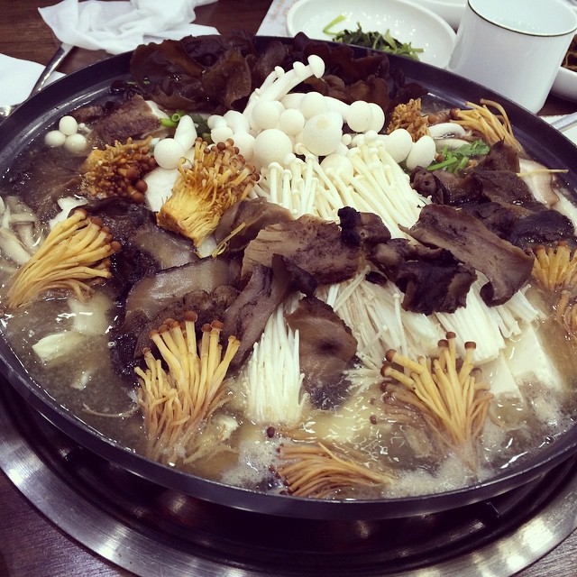출처 : 인스타그램