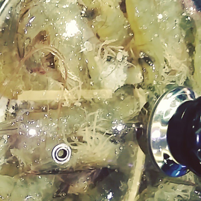 서브2