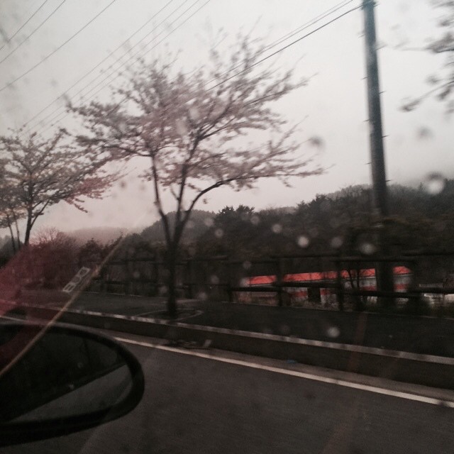 출처 : 인스타그램