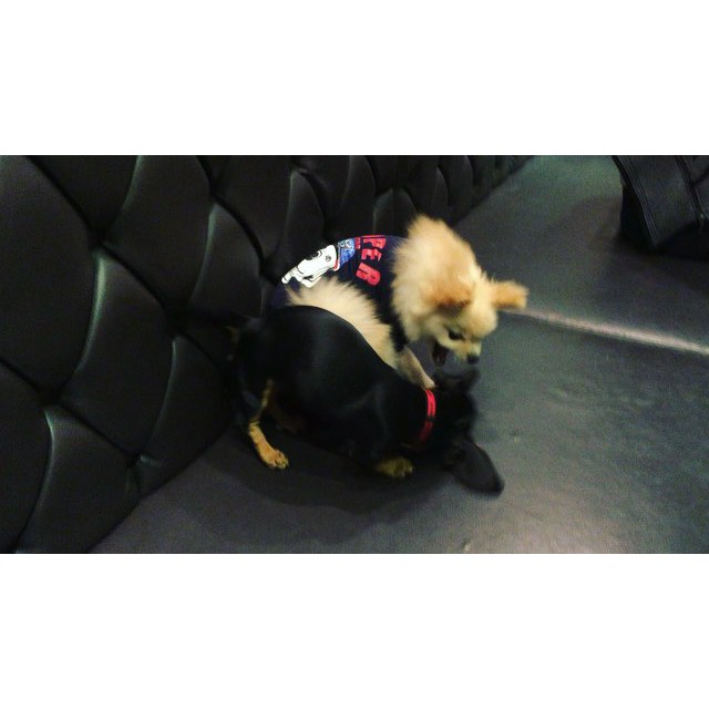 서브2