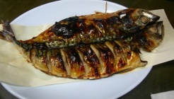 털보고된이 매장 이미지