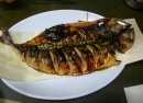 식당사진