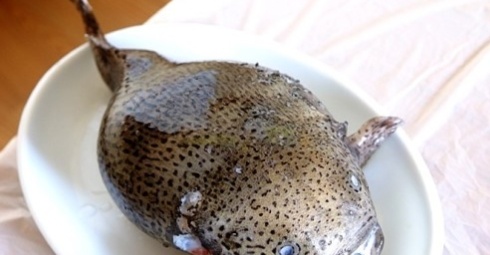 방학곰치집