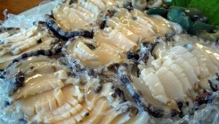 탑동산호전복 매장 이미지