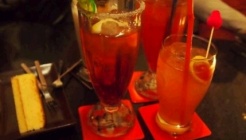 사막의하얀꽃 매장 이미지