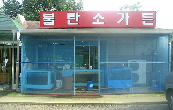 melburne 님의 블로그 