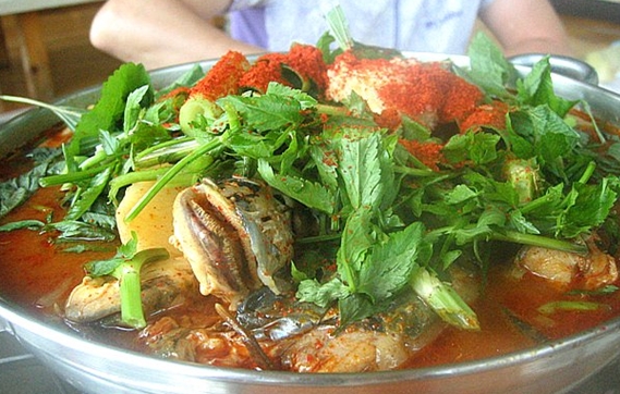 melburne 님의 블로그 