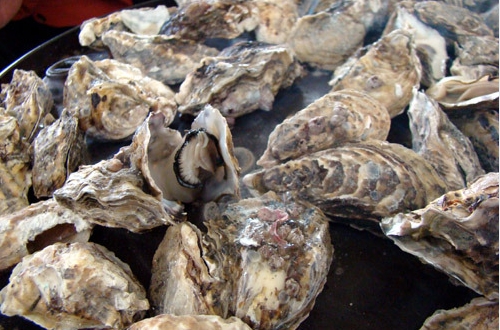 출처: limhyunc님의 다음 블로그