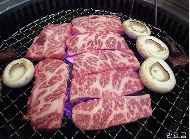 육미대가 이미지